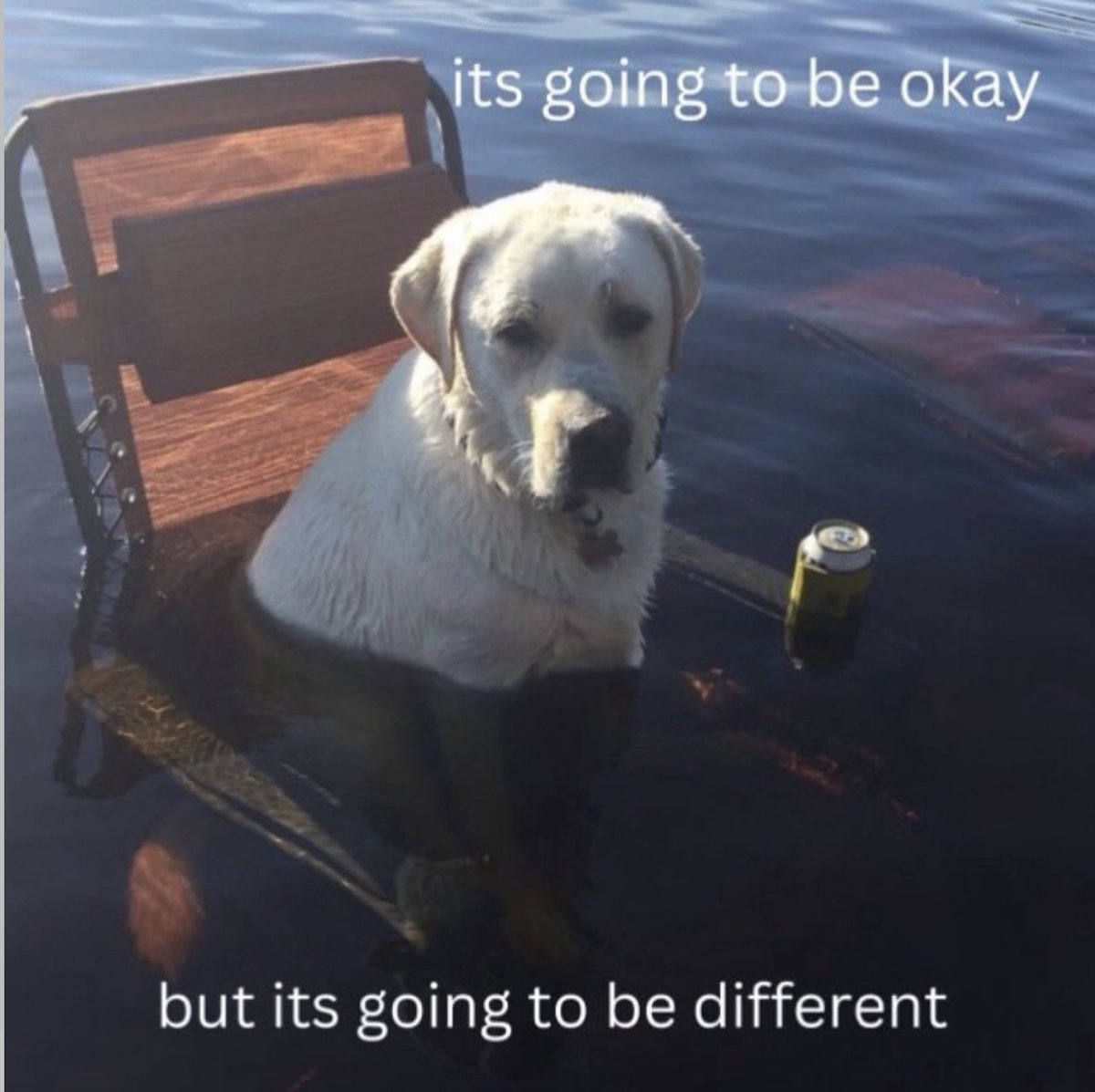 I’m just here for the ride