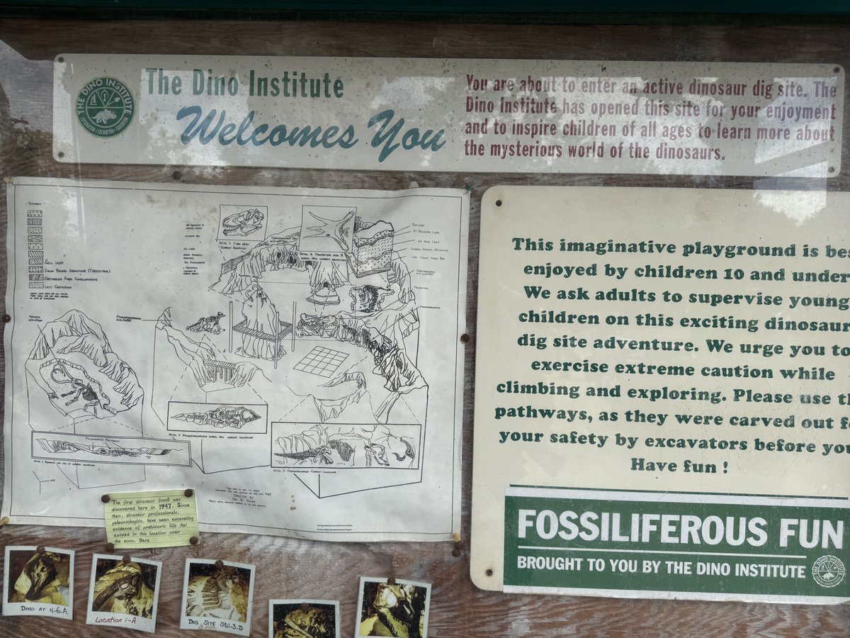 Goodbye beautiful. Such a unique part of Animal Kingdom. The amount of rock work, detail, and storytelling designed for just a playground is amazing. It’s part of the reason of why animal kingdom is so good. Impeccable design for even just a playground.