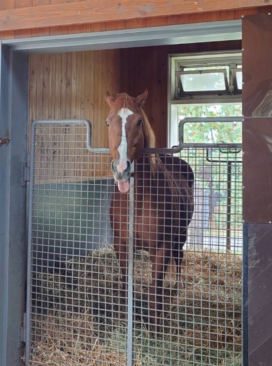 うりんこになりした。お値下げ致しました新品、この春のアルベロベロ 華宝(かほう) | 産地直送通販 | 青森りんご | RED APPLE（レッド