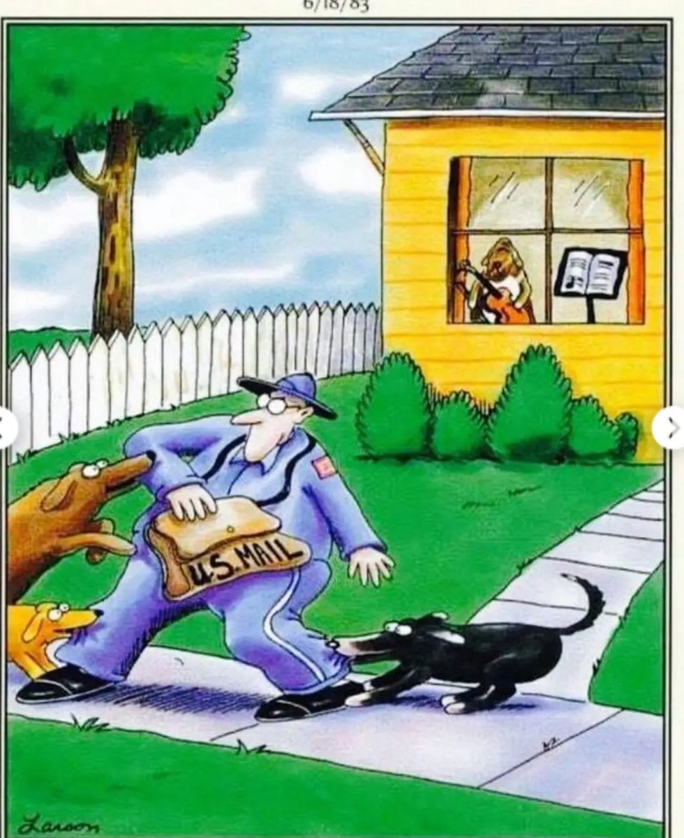 Joe Port 🇺🇸 tweet media