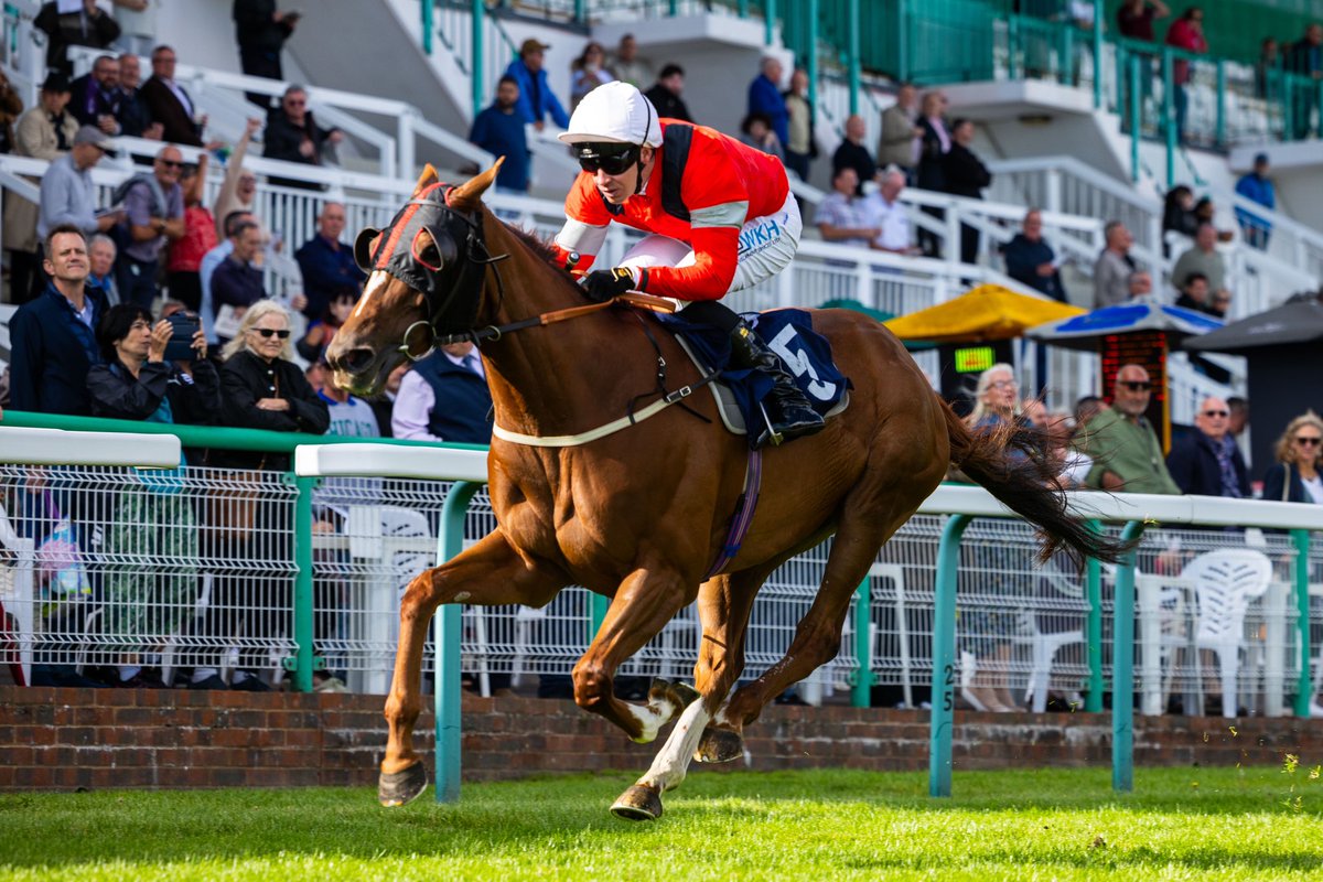 RACE 5 RESULT - Download The Raceday Ready App Handicap 

🥇 Shalfa  
🥈 Racing Demon
🥉 Mrembo

Jockey: Charlie Bishop  
Trainer: Lydia Richards 
Owner: The Shalfa Partnership  

📸 <a href="/dcoolimages/">Darren Cool Images</a>