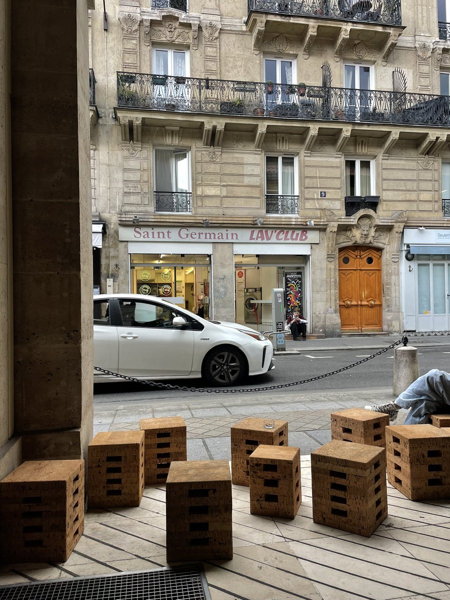 Катя в Лягушатии tweet media