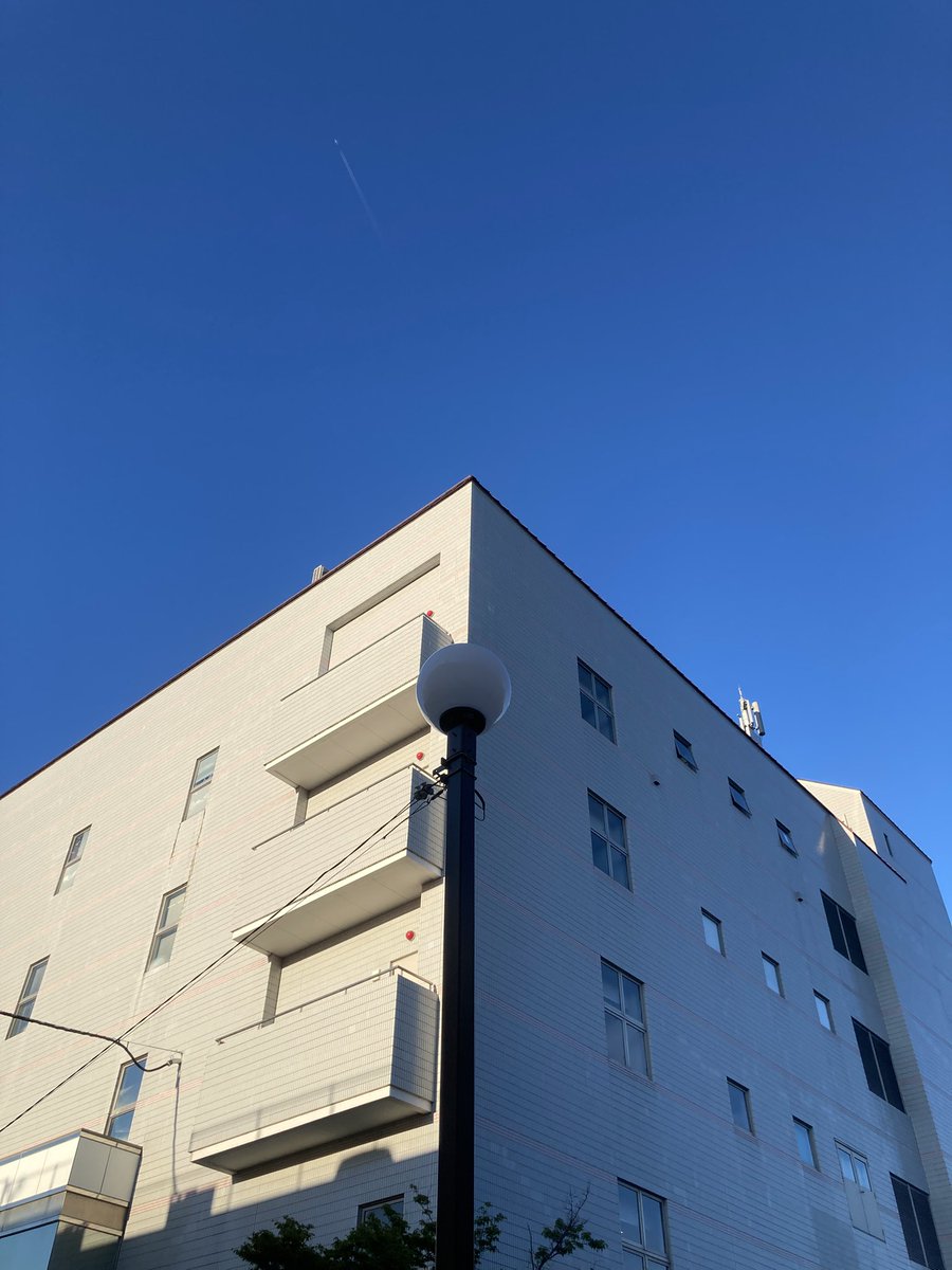 今日は寝ますね。これ今日撮れたお気に入りの写真。