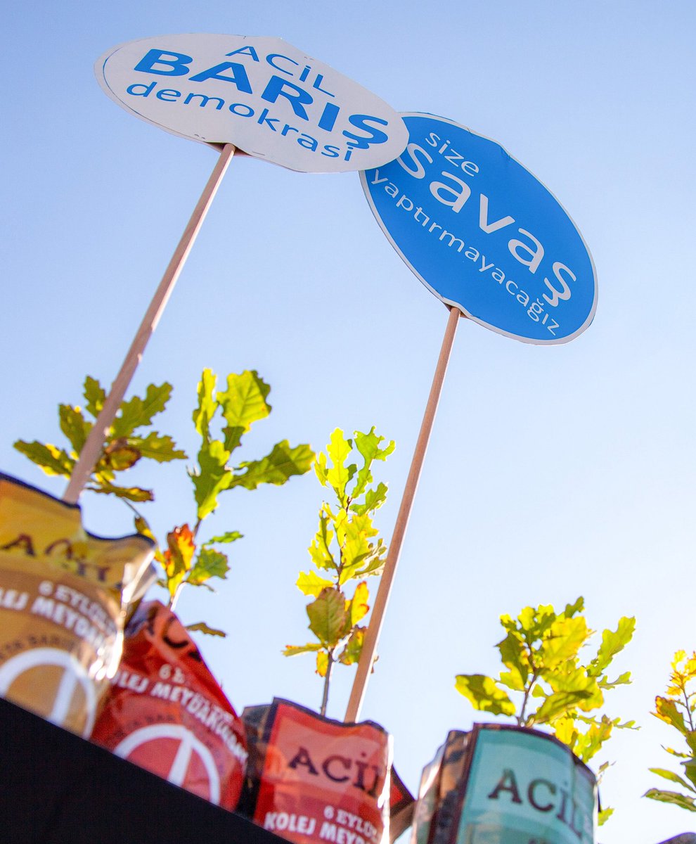 Fotoğraf: <a href="/CMengiliboru/">Can Mengilibörü</a> 2015

#1eylüldünyabarışgünü
#barış
#1Eylül