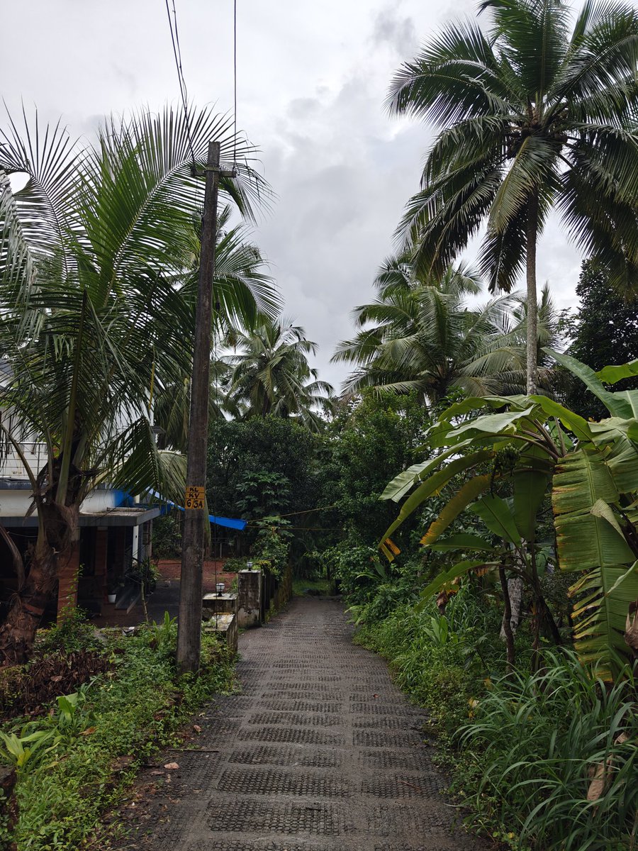 in the streets of kattangal