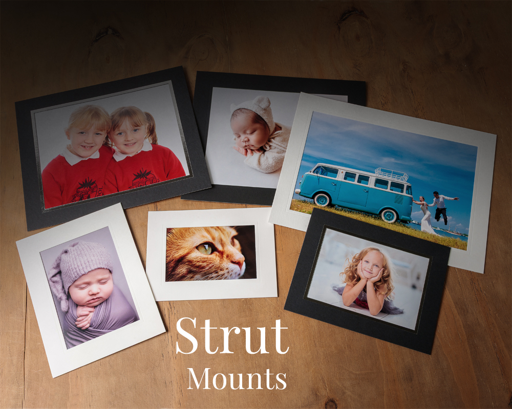 C41sPhoto's tweet photo. Present your prints with confidence and style using our Strut Mounts, crafted for professional photographers who value quality and precision.
Reliable. Elegant. Professional.
📸 Now available at C41s Photo Imaging.
👉 https://t.co/wqYpvugfcf https://t.co/AwskTxzAa6
