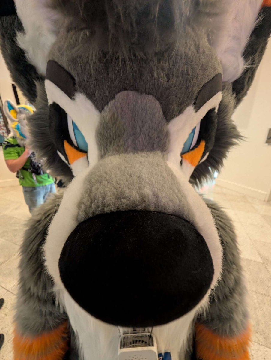 So who am I encountering this #EF29 ?