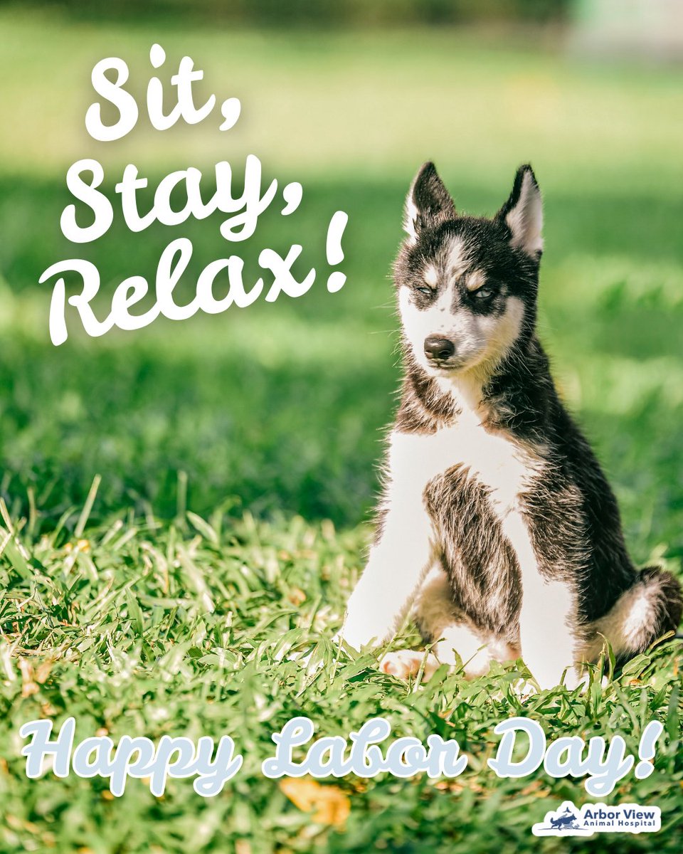 ArborViewAH's tweet image. Labor Day is the perfect time to fetch some quality time with your pets! 🎾🐾 Take a break, play fetch, and make memories with your furry pals. #PetPlaytime #LaborDayWeekend #FetchFun