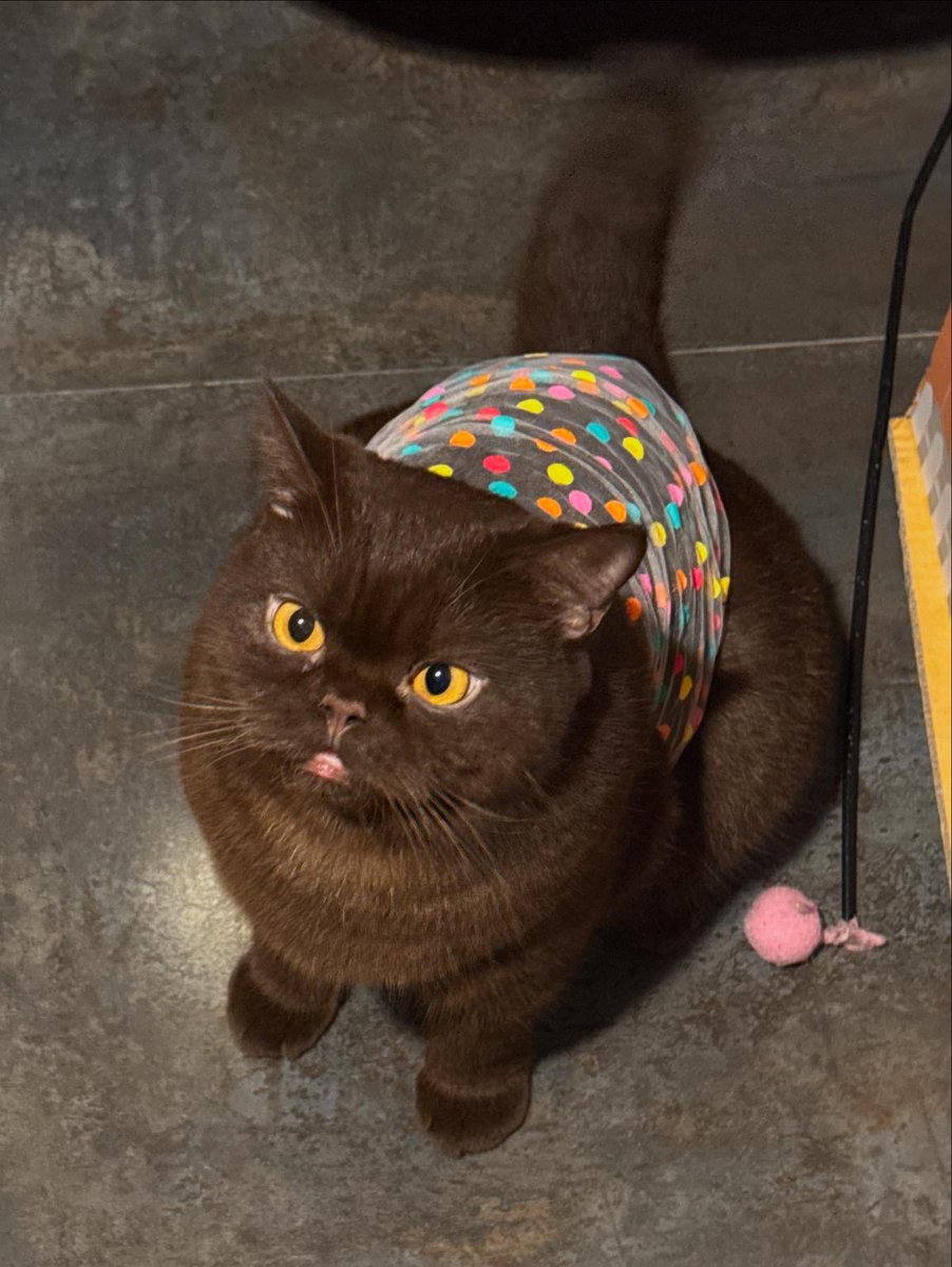 แม่ หนูเกลียดผู้ชาย