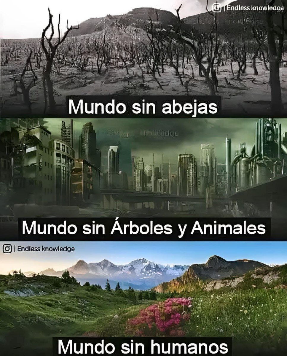 Es la única realidad. No la Ignores