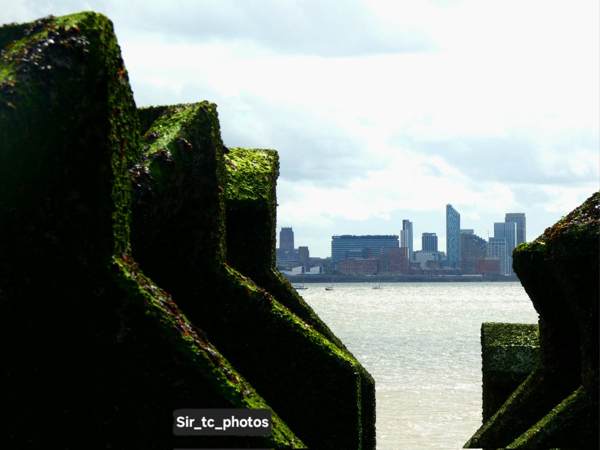Photos taken at New Brighton beach. #naturephotography #beachphotography #newbrighton #plantphotography