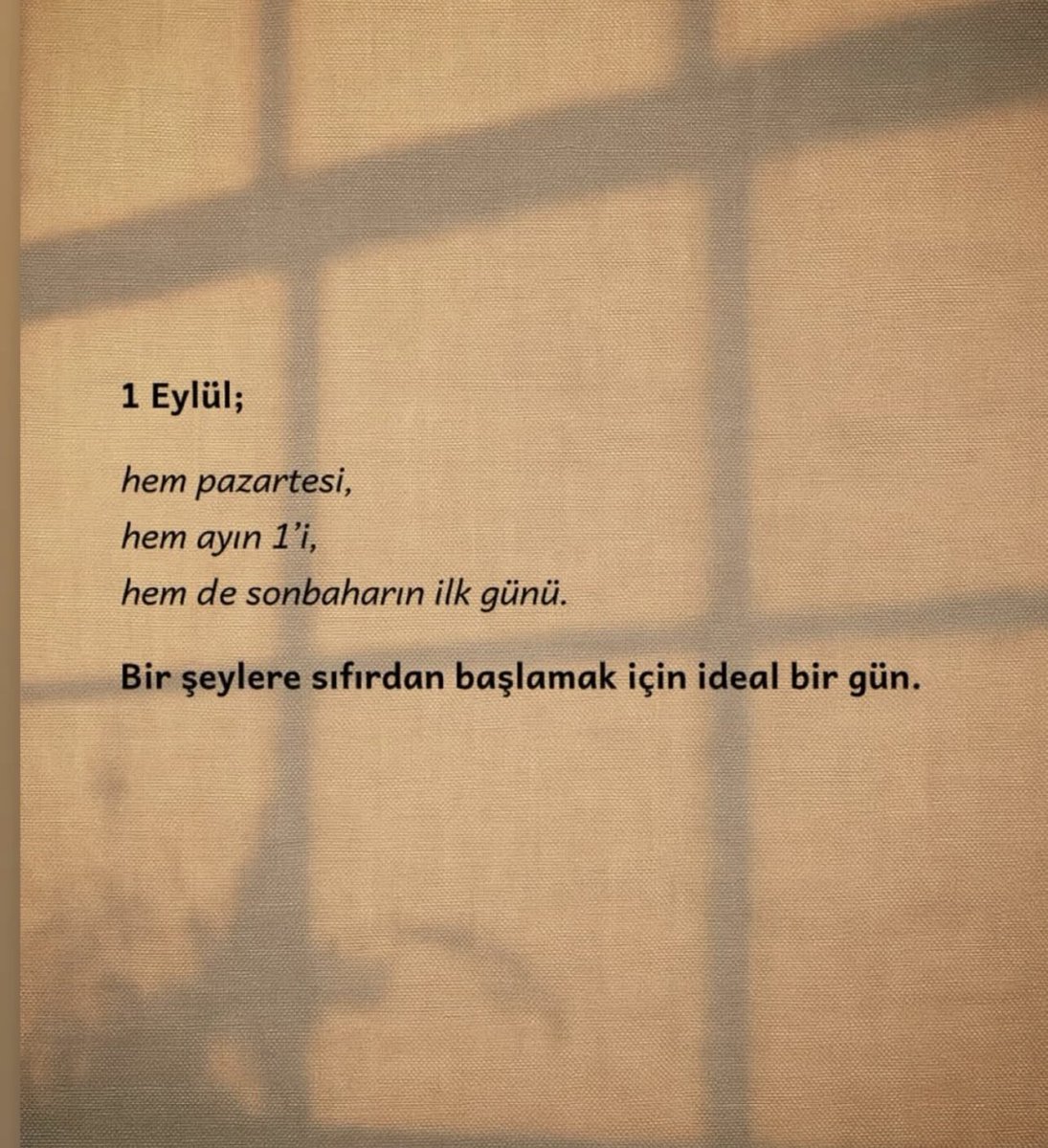 Ece Pirim (@ecepirim1) on Twitter photo 