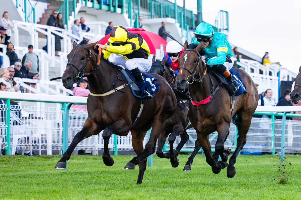 RACE 6 RESULT - Sky Sports Racing Sky 415 Handicap 

🥇 Rainbow Sign  
🥈 Never Dream
🥉 Headshot

Jockey: Luke Morris 
Trainer: Mark Pattinson 
Owner: Forever Amber 

📸 <a href="/dcoolimages/">Darren Cool Images</a>
