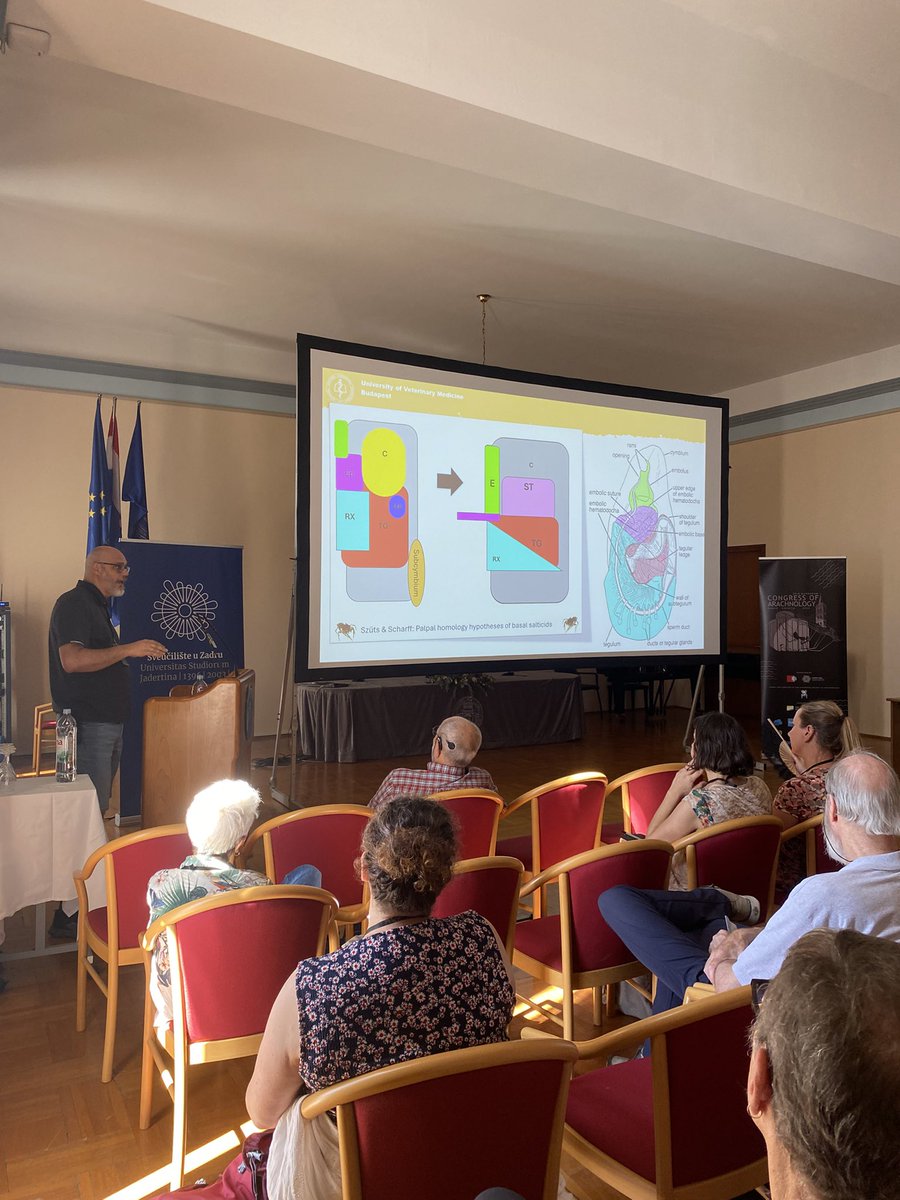 Today we covered themes related to systematics &amp; phylogenetics, evolutinary biology &amp; genomics, and faunistics &amp; distribution. 

From Nemesiidae, Salticidae and Theridiidae to scorpions and pseudoscorpions: our lecturers gave their best and gave us insight into their research.