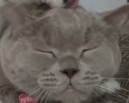 when u drop 3 divines in an hour