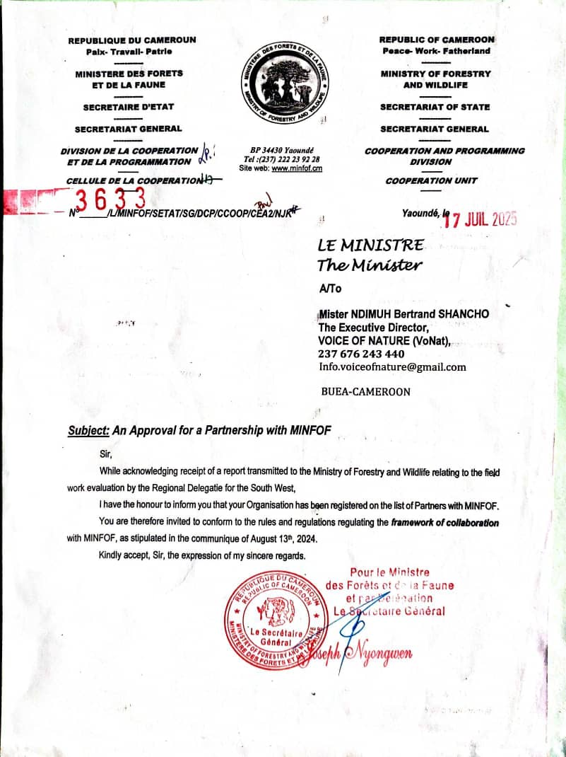 VonatCm's tweet image. We are excited to announce our official partnership with Cameroon's Ministry of Forestry and Wildlife (MINFOF), a milestone in our mission to conserve biodiversity, restore ecosystems, and promote sustainable forest management. #MINFOF #VoNat #MINFOFPartnership #Conservation