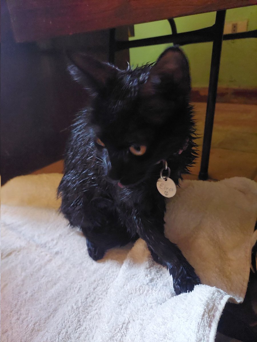 13:32
Cómo quiero estar //  Cómo estoy