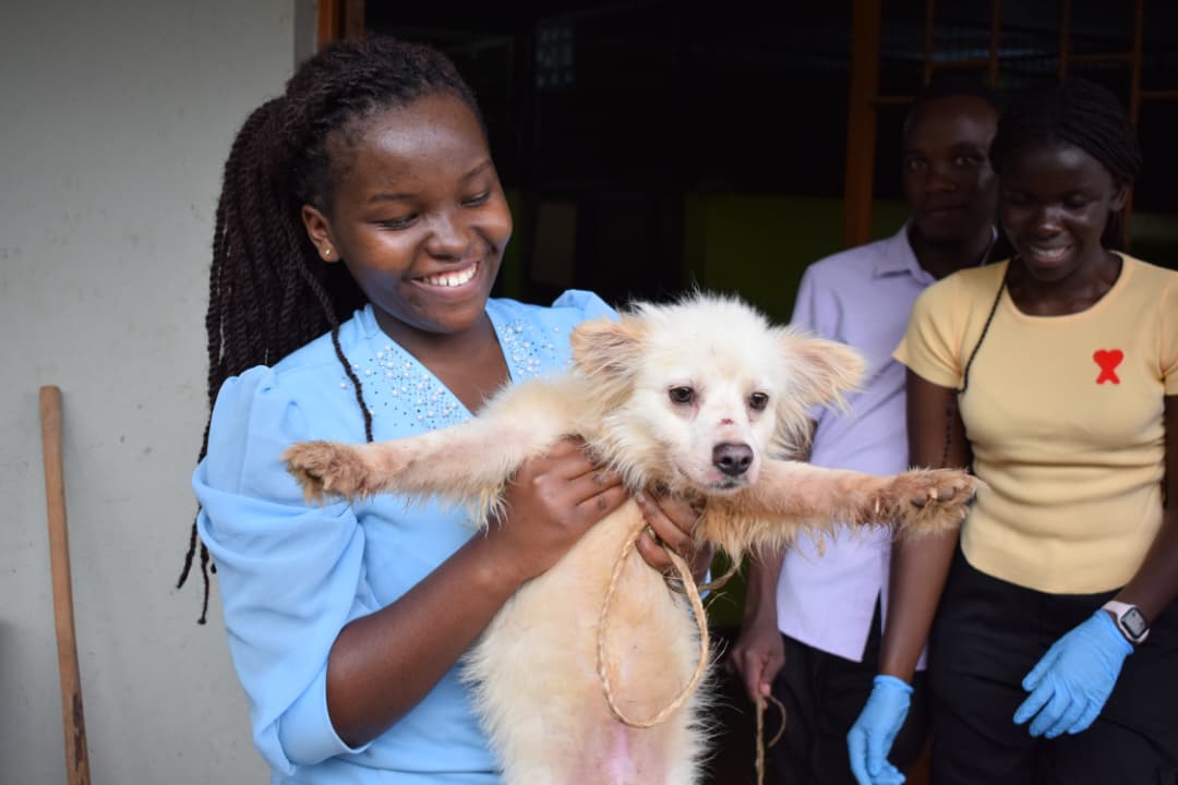 maptsa32481's tweet photo. 🐾 Dog Wash Day Success! 🧼🐶
Huge thank you to everyone who came out to support our Dog Wash Day — it was a tail-wagging success! 🐕💦 https://t.co/AdSZkidLjt