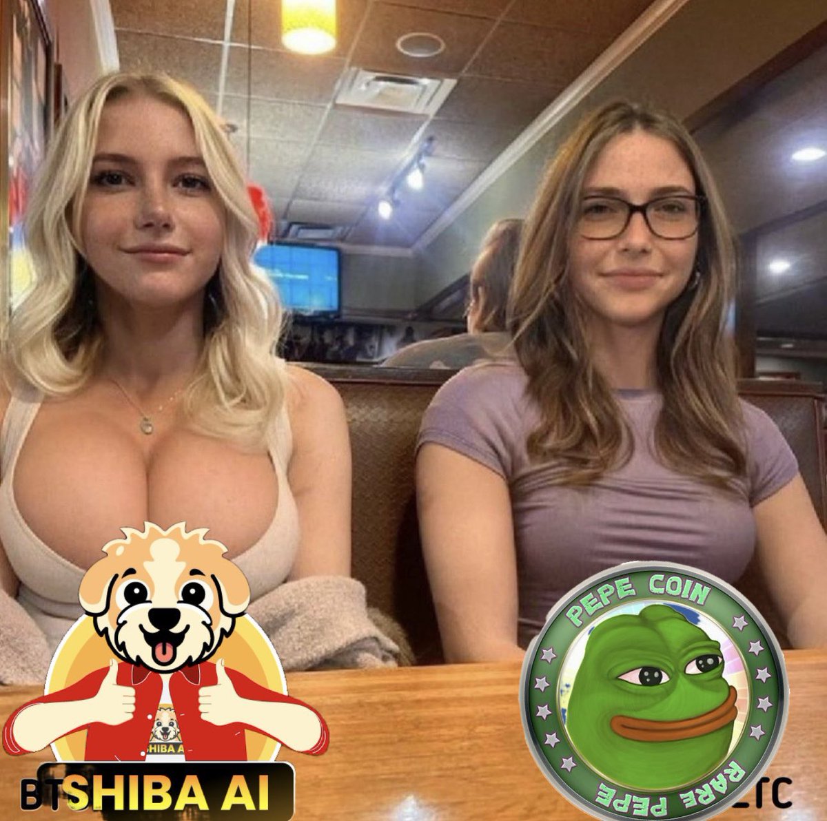 Shibaaiclub's tweet image. #SHIBAAI is up again. Is it utility? Innovation? 

Real-world adoption? 

No. It’s just vibes and memes. And that’s enough. 😂🐶📈 

#MemeCoinLogic”