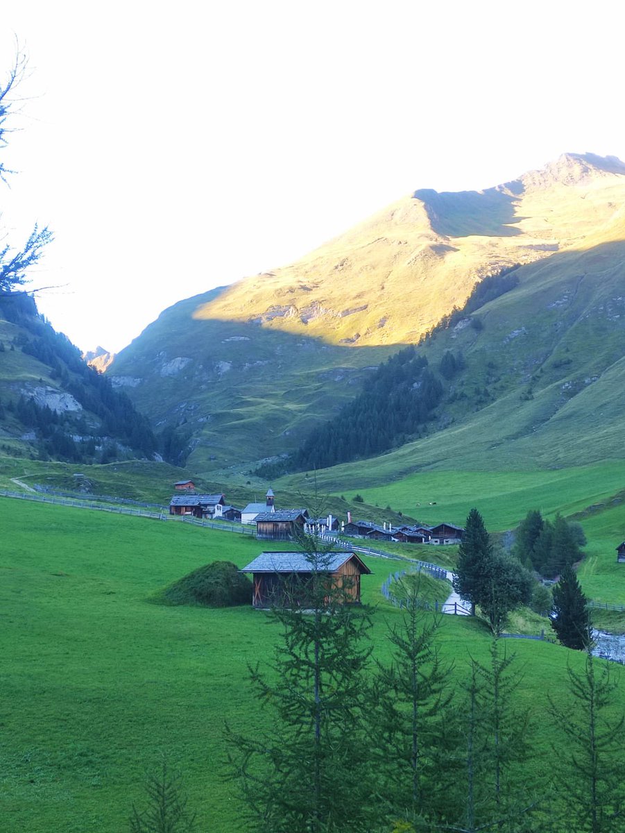 Sonia Zuccaro tweet media