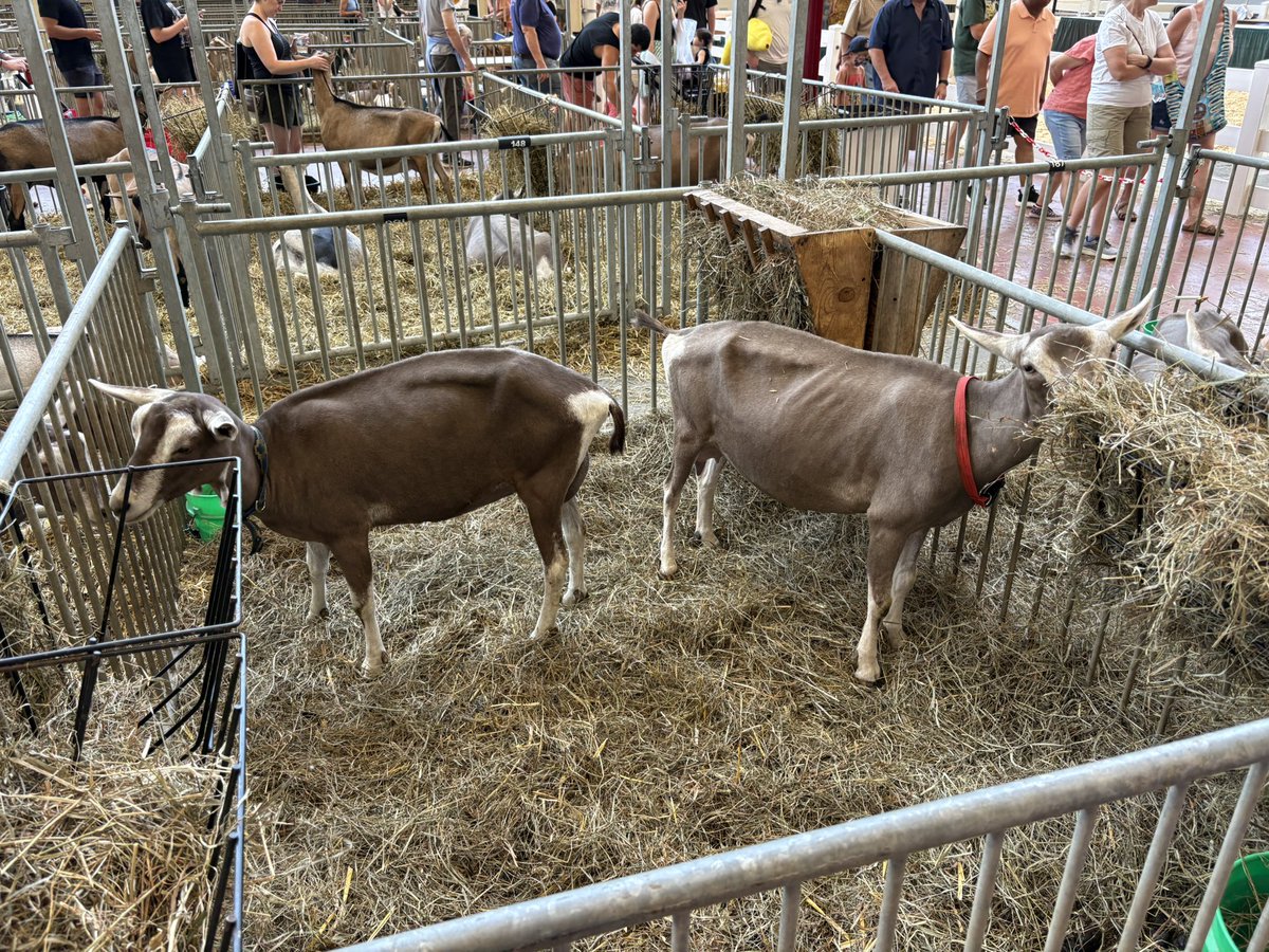 Bradley Landsbrown tweet media