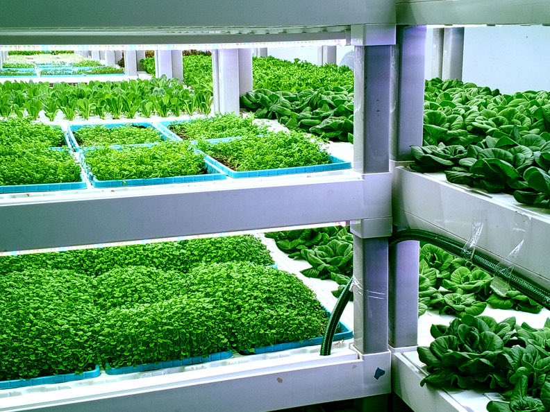 #LoUltimo Ingenieros agrónomos impulsan la adopción de tecnología digital para optimizar la producción minutaagropecuaria.com/nacionales/ing…