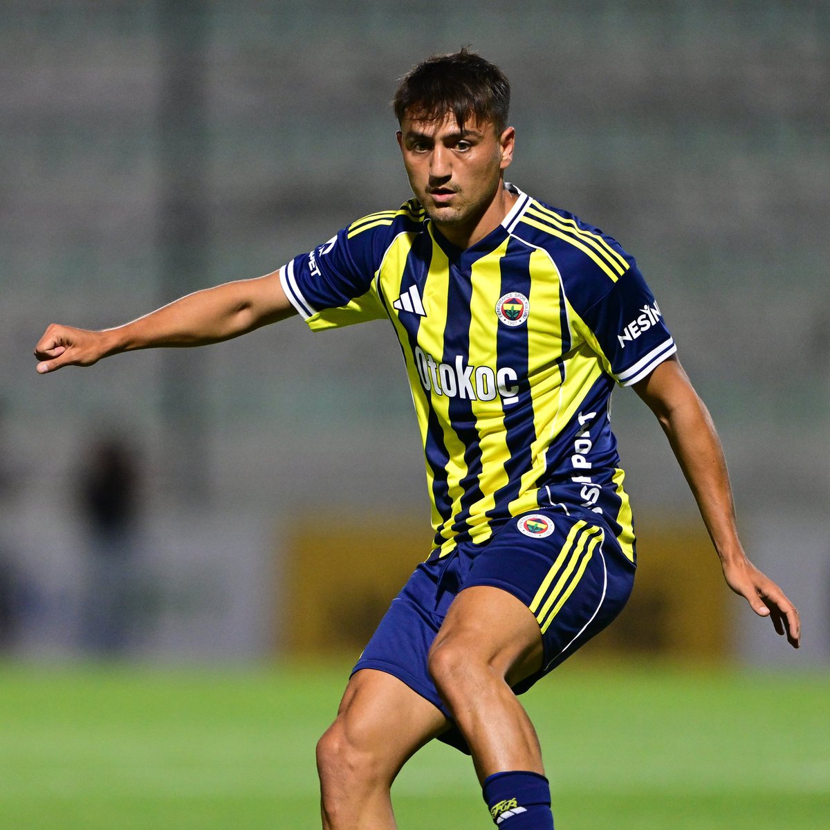 Elin işe yaramayan çöplerini bize itelemeye çalışıyorlar. Beşiktaşlı kılığında, renkli oldukları paçalarından akan bi takım hesaplar tarafından dolaşımda bu haberler. Cengiz ünder ve djiku istemeyiz, uzak durun.