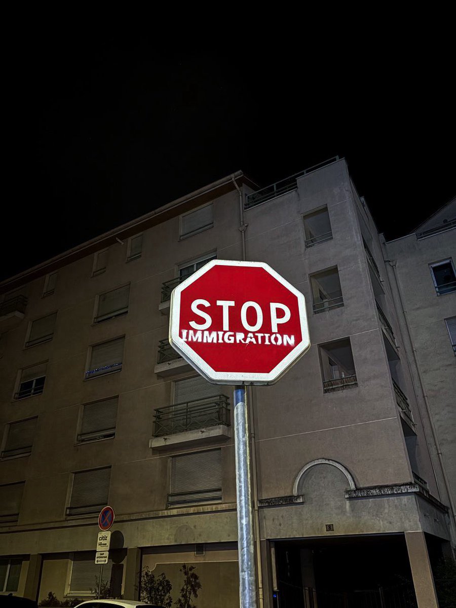 Ligne__Droite's tweet image. 🔴 INFO LD : À Lyon, des militants identitaires ont recouvert plus de 150 panneaux « STOP » du mot immigration, pour exprimer leur opposition.

Un message martelé dans toute la Ville des Lumières : STOP IMMIGRATION.