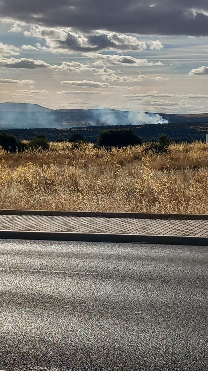18:50 Incendio zona de Martiherrero, Avila.

Medios hacia el lugar como <a href="/bomberosdeavila/">Bomberos Avila CDC</a>