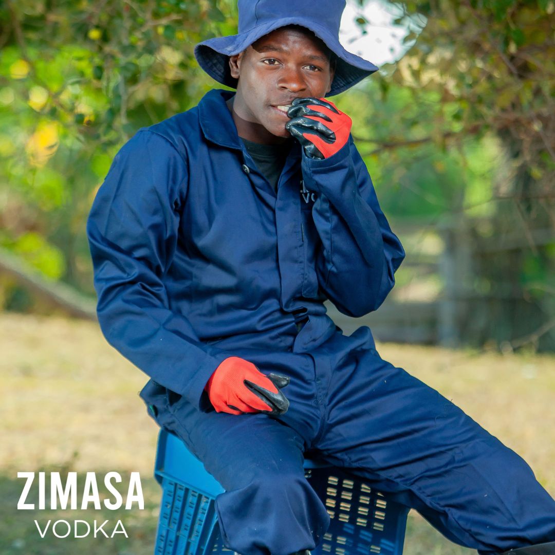 Zimasa_Vodka's tweet image. When you’re surrounded by Masau fruit this delicious, who could blame our harvester for sneaking a bite? 😋 It’s all part of the job—sampling the fruits that make Zimasa Vodka so irresistible. 🍸

From field to bottle, the perks of the job taste pretty sweet! 🖤✨

#PerksOfTheJob