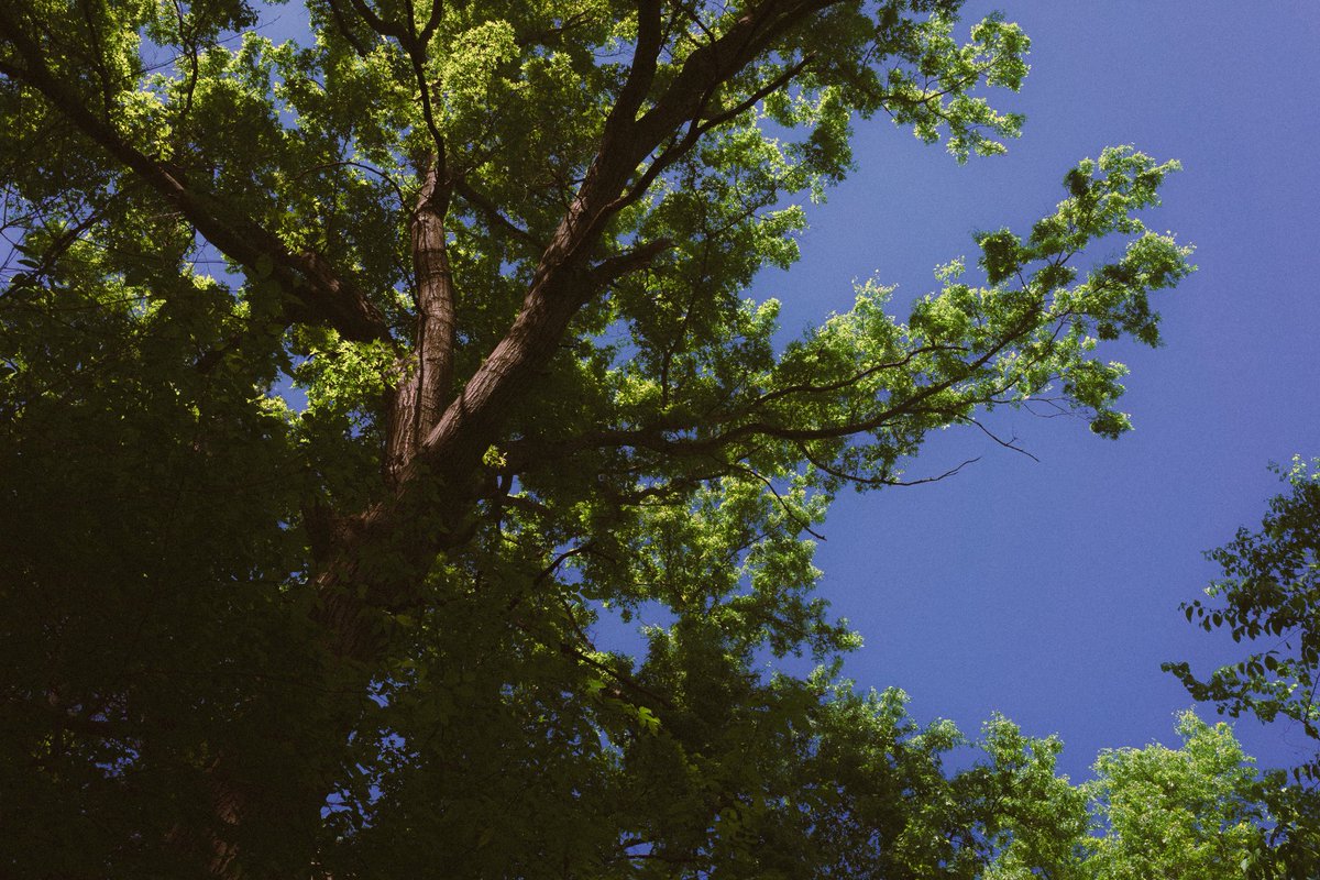 levi 😸 (@twashstarcrazy) on Twitter photo 