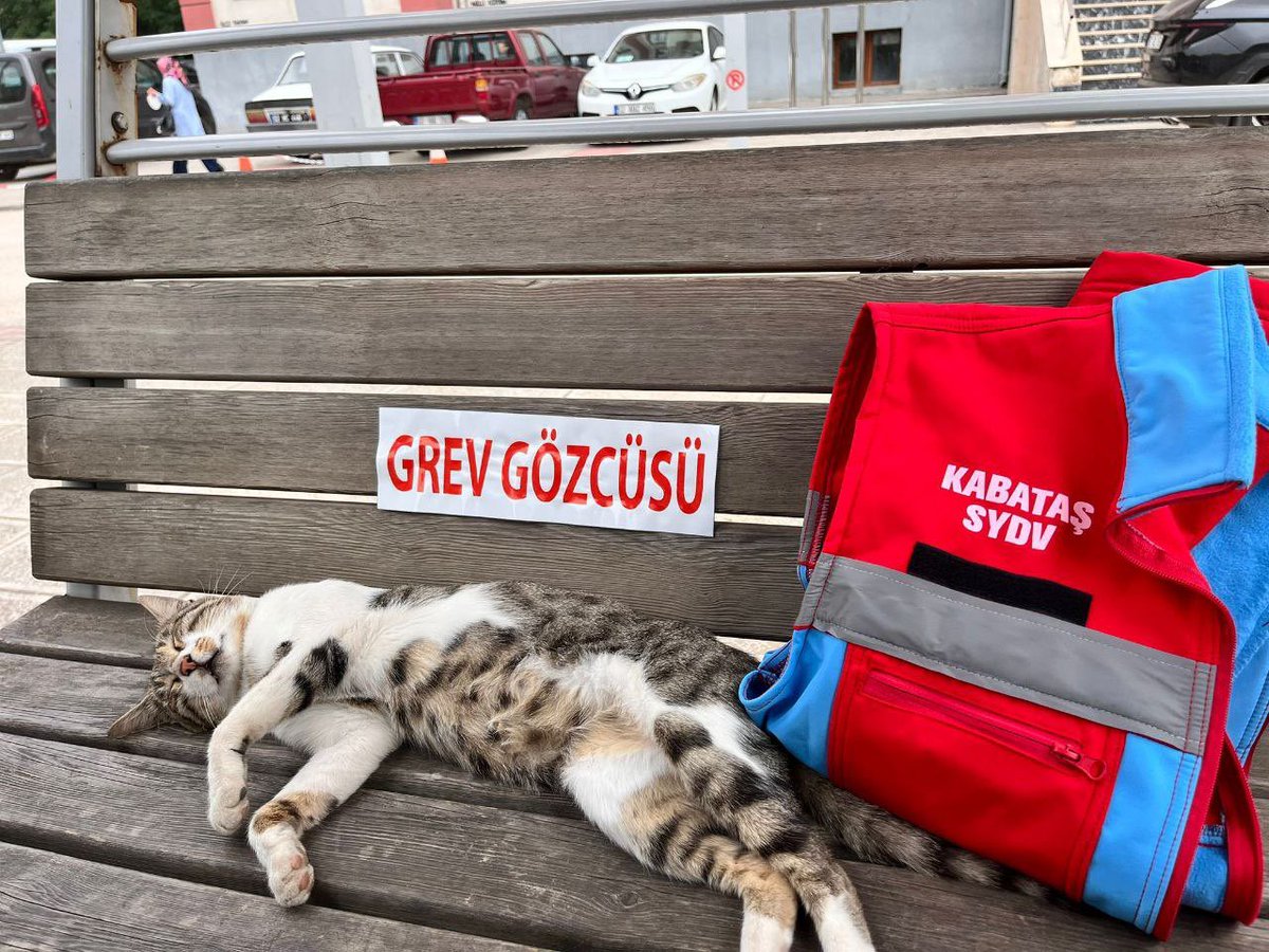 Kazanacağız arkadaşlar 🫡
#SYDVdeGREVEdevam
<a href="/KOOPISSENDIKASI/">Koop-İş Sendikası</a>
<a href="/alemdareyup/">Eyüp Alemdar</a>
<a href="/metinguney10/">Metin Güney</a>
<a href="/muratturkekul/">muratturkekul</a>
<a href="/turkiskonf/">TÜRK-İŞ</a> 
<a href="/SydVakfSesDer/">SYDV ÇALIŞANLARININ SESİ DERNEĞİ</a> 
<a href="/Sydvkadrosuz/">Sydv</a> 
<a href="/TurkiyeSydv/">SYDV TÜRKİYE AİLESİ</a> 
<a href="/sydvcalisanlari/">sydvcalısanları</a> 
<a href="/denizartumlu/">Deniz Artumlu</a> 
<a href="/cennetistan/">Cennet Kibar</a> 
<a href="/zcan_gultekin/">Özcan Gültekin</a>