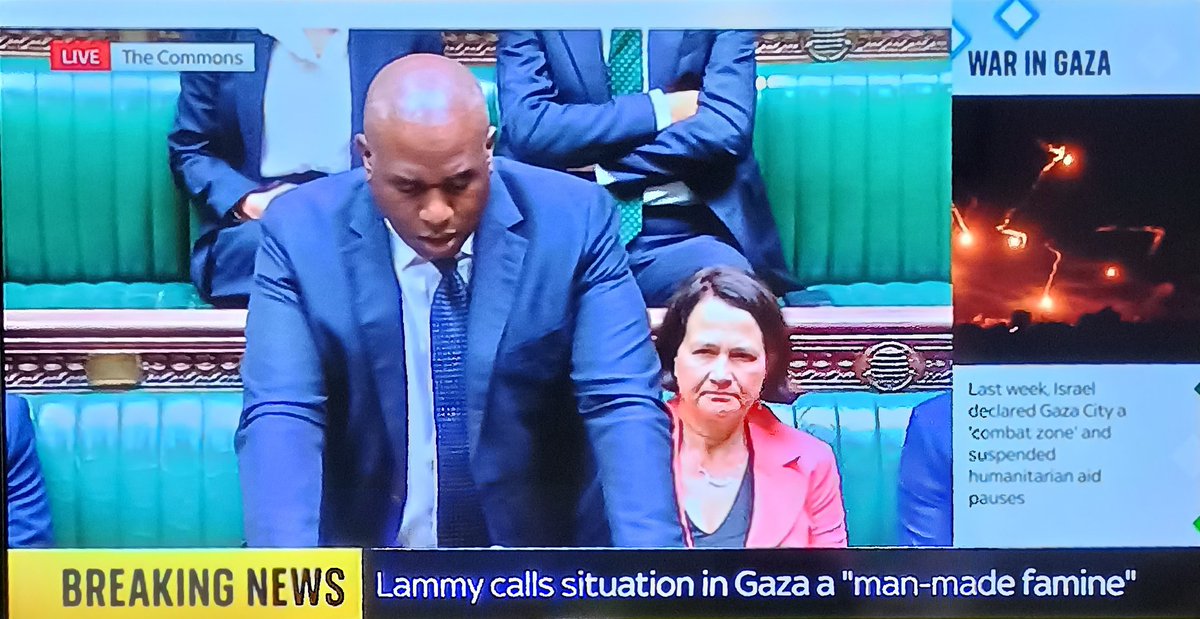 Lammy calls the situation in Gaza a "man made famine".
Of course it is.
By his friends in Israel, aided and abetted by the likes of Lammy and Starmer.
Hypocrite. #WarCriminals