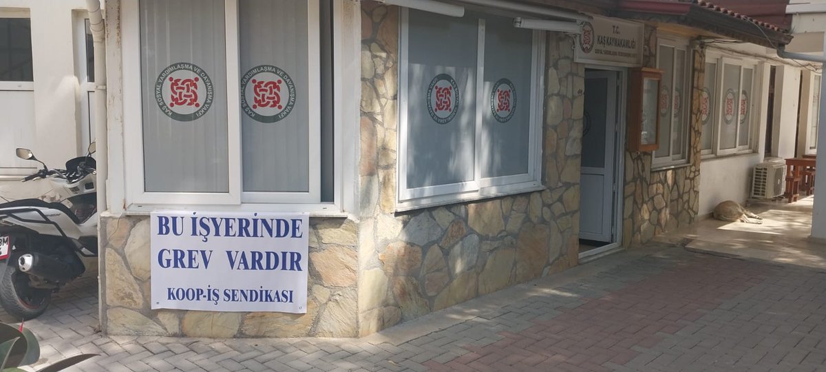 Ayhan YILDIRIM tweet media