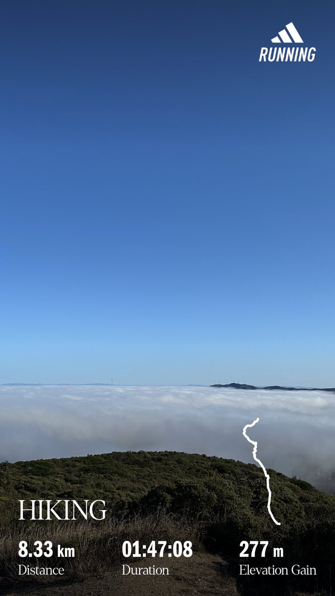 MarceStarlet{⭐️} (@marcestarlet) on Twitter photo 