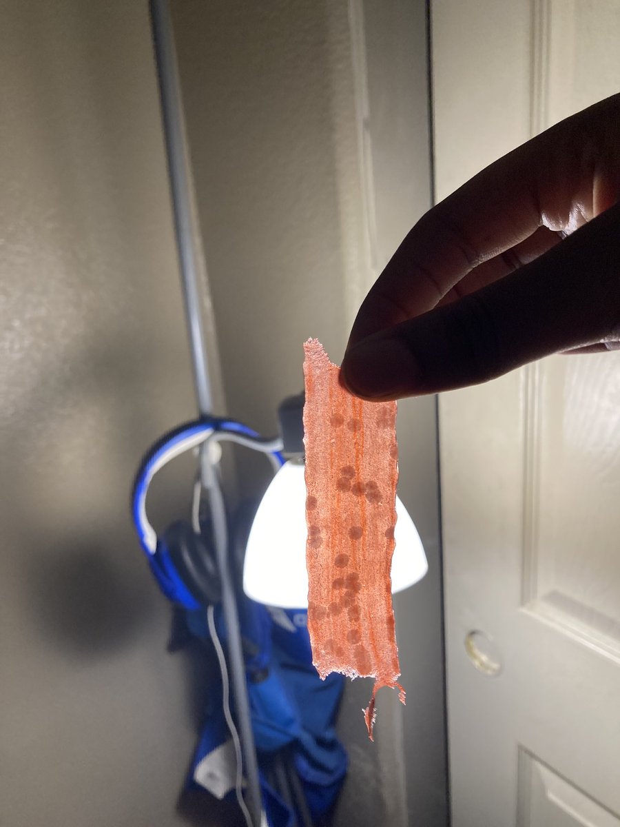 Ladii.s_ _ tweet media