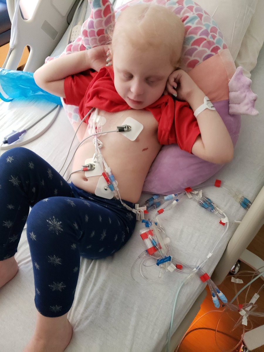 Im4CCresearch's tweet photo. Go gold! raise funds for research,advocate,write or call your state reps and ask for their support in increasing funding for research, do a 5k, volunteer,There are so many ways to stand up for our children and stand with us in September 🎗️#gogold #childhoodcancer #September https://t.co/S5Xin0YhRY