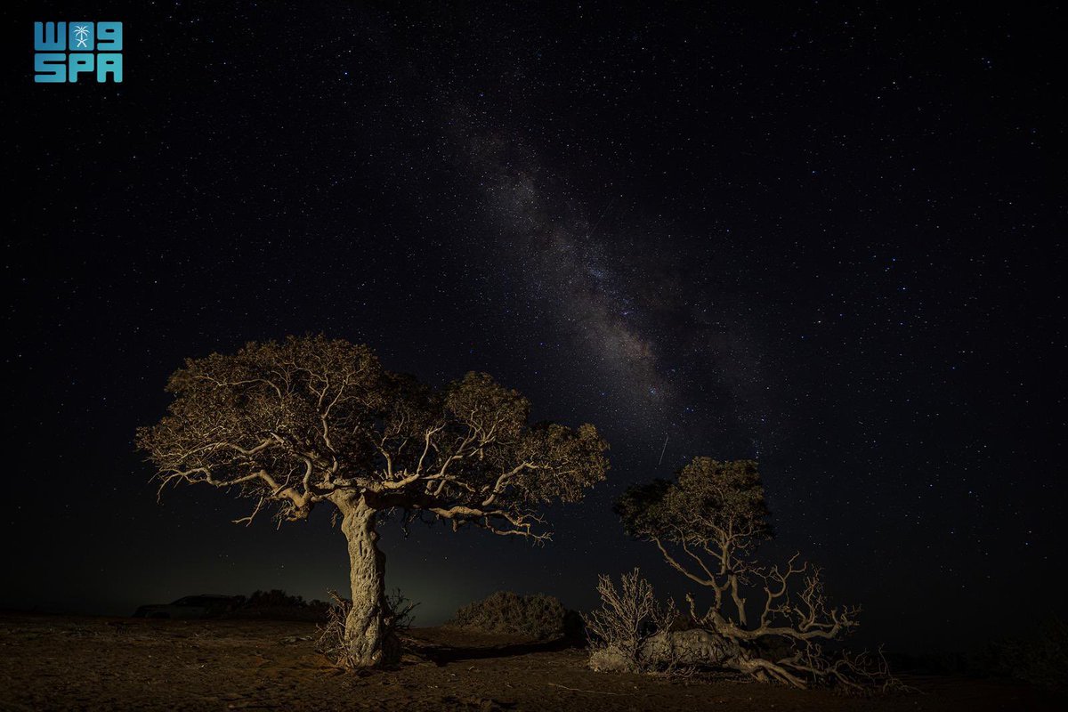 Nights in the south of Al-Wajh… just you, the stars, and endless serenity. 🌌💫
