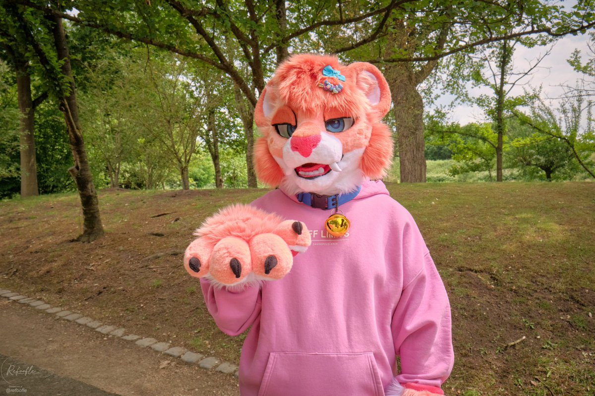 How to find me at #eurofurence #ef29 

✅ask for hugs and pics
✅demand stickies
✅offer me 1 million shots
✅drag me around 👉👈

❌offer me water (its poison)
❌pull my tail &gt;:3
❌bully me &gt;:(