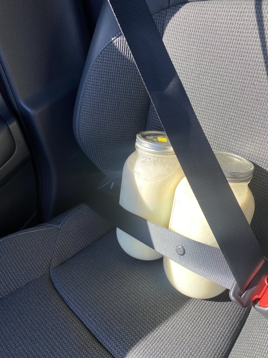 Picked up raw milk from <a href="/breezyhill_farm/">Breezy Hill Farm</a> , look at that cream top, local , regenerative.. the best! 
Can’t wait to enjoy my coffee with it 🫶🏼