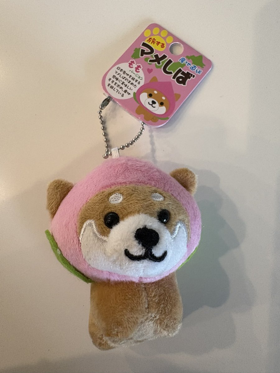 ate_pichi's tweet image. Cutie peachy shiba! Thanks Asa! 🙇🏻‍♀️