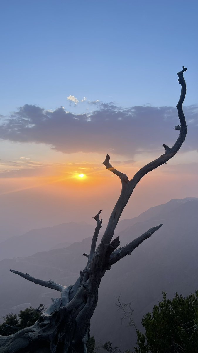 عشوائيات اليوم 🌱💗.