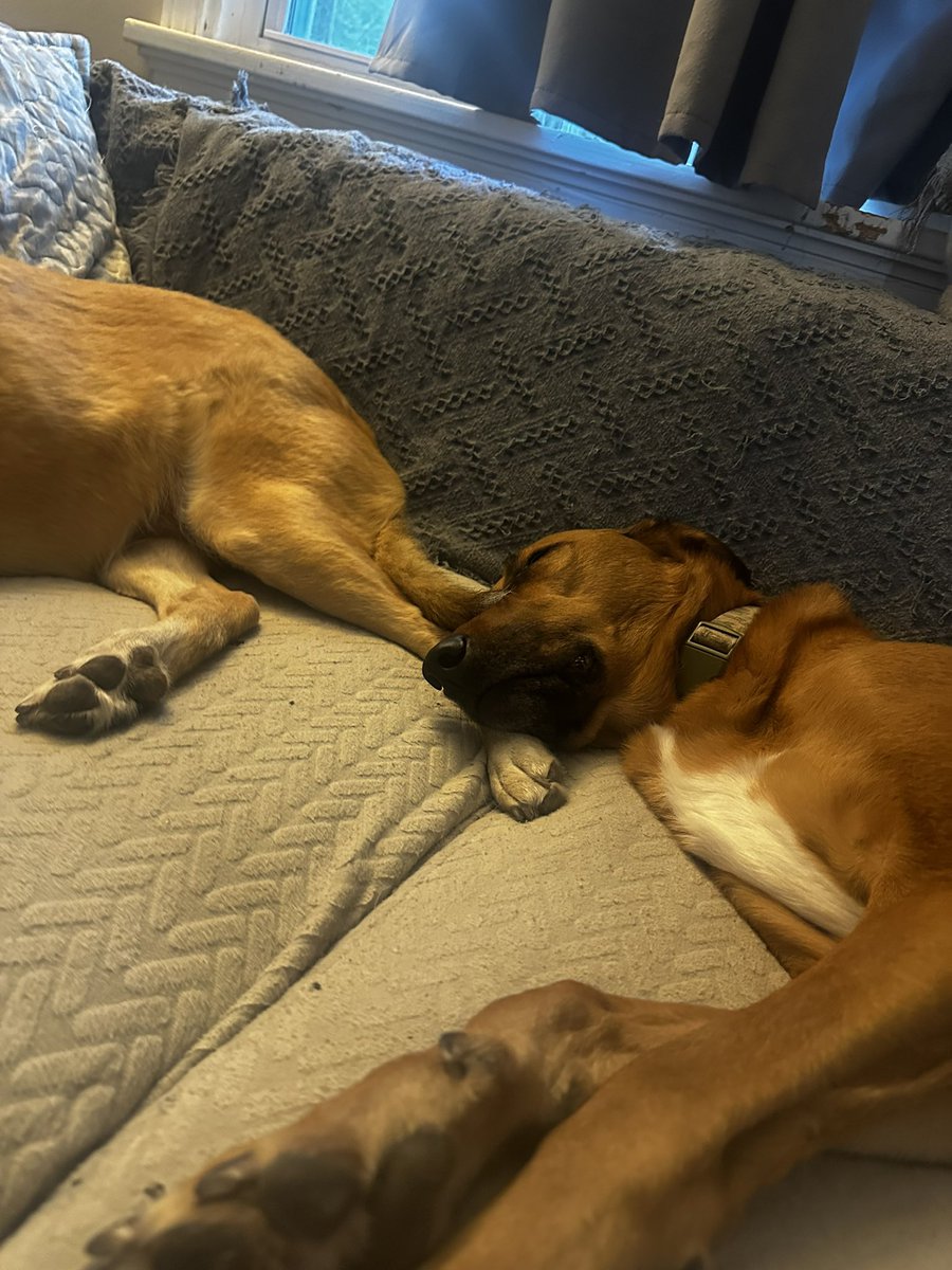 A sweet innocent boy just trying to get some sleep