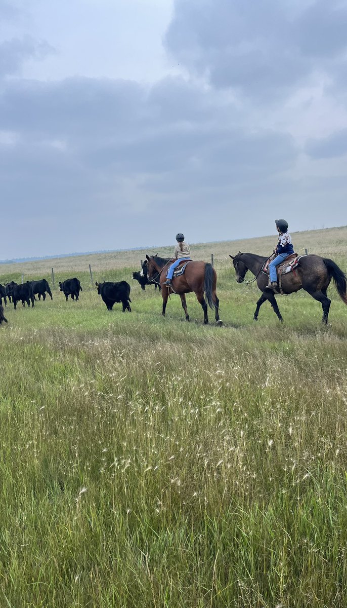 Last day of summer holidays, so we put them to work.