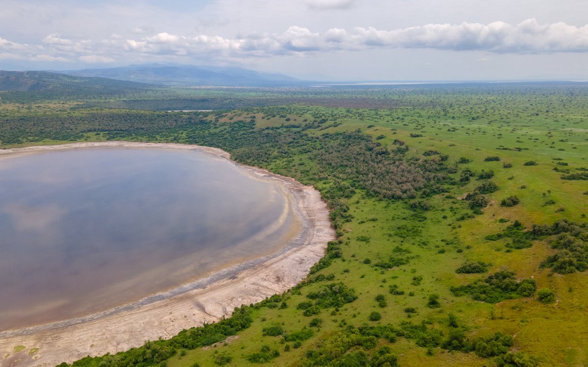 magicafricansaf's tweet photo. Experience the magic of Uganda..

This stunning crater lake is just one of the many wonders waiting for you in Queen Elizabeth National Park. ,every safari is unforgettable. 

Book your adventure today and let us take you closer to nature’s beauty.

info@magicafricansafaris.com https://t.co/7sgFFwMEvc