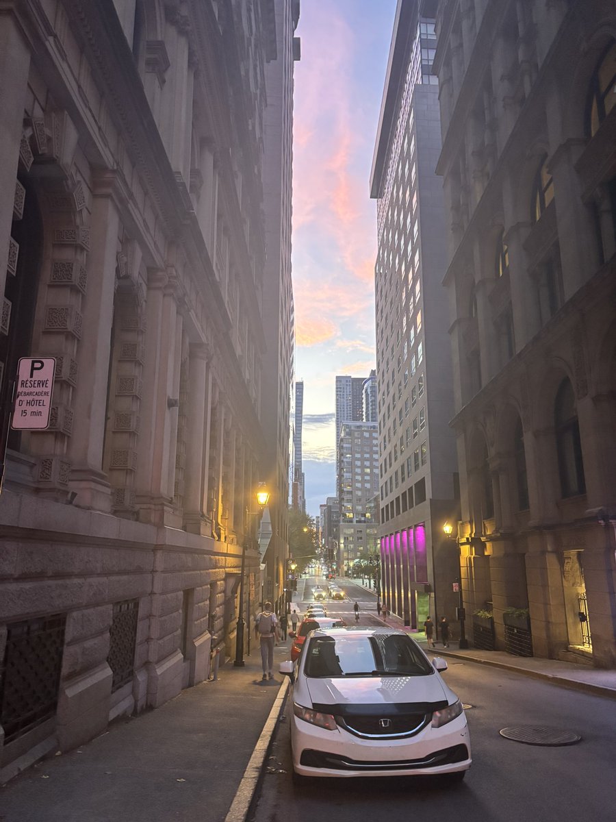 pidierprogba's tweet image. RE