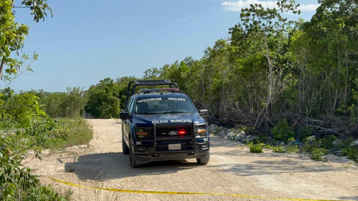 Noticaribe on X: "MACABRA ESCENA: Encuentran el torso de una mujer en la Región  260 de Cancún; investigan feminicidio https://t.co/otjwnCdvXt  https://t.co/EtZ6zSAccD" / X