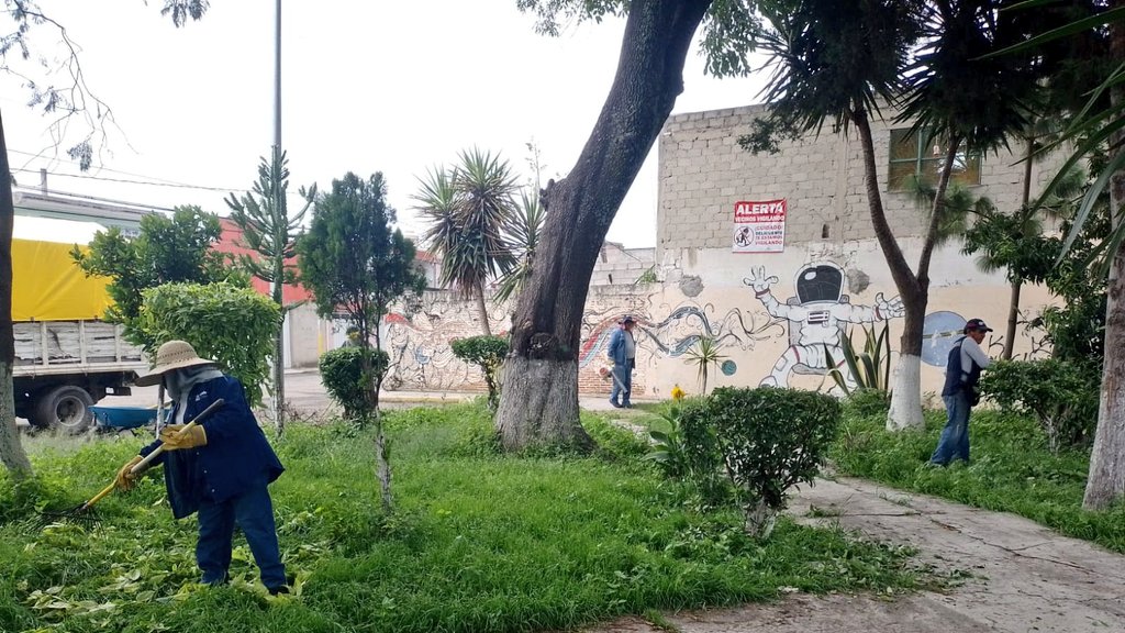 Servicios_Pub's tweet photo. 💚🌿 En la calle Tlaxcala de la Colonia #PopularCoatepec, el área verde ya luce renovada 🙌.
Donde hay espacios frescos, hay vida y #LaCapitalImparable 🪽 la cuidamos con todo el ánimo.
#LaCapitalEnOrden https://t.co/yANTWmMg6K