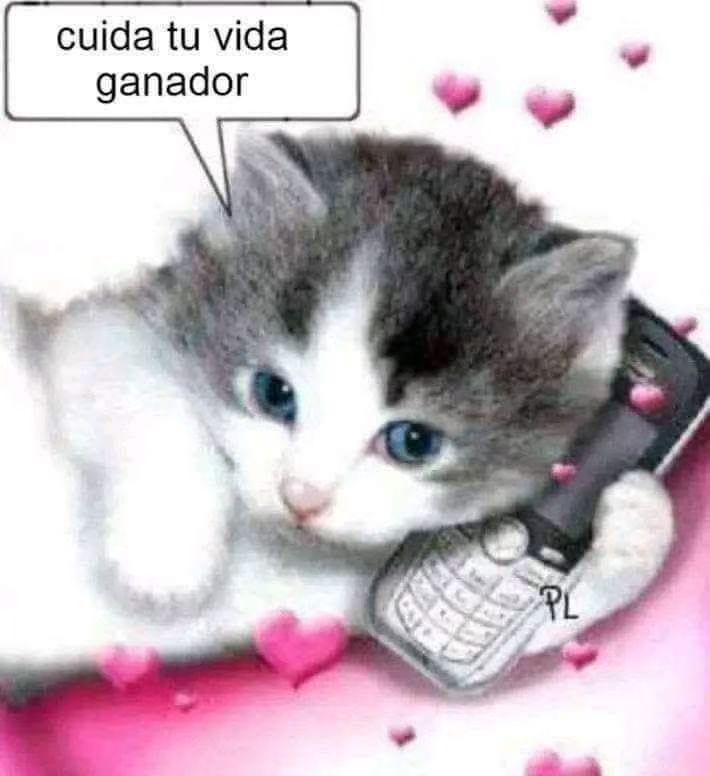 WilliamAnim0619's tweet photo. @JeletrixX50 @Rod_Drawings Muchas gracias jelitrix por salvarme del incendio y donarme tu riñon. https://t.co/u6KCLTVVzG