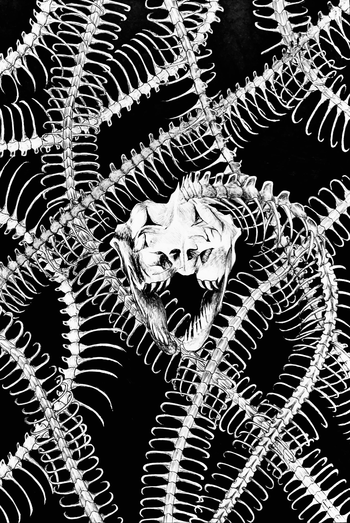 すずらん　骸骨　ペン画　鉛筆画　手描き　オリジナル 黒い紙✖︎白ペン✖︎ラメペン 楽しすぎる✨✨✨ #アート#色鉛筆